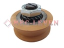 RUEDA CARRO SUPERIOR CONCENTRICA C/EJE TIPO ORONA Ø56X20MM